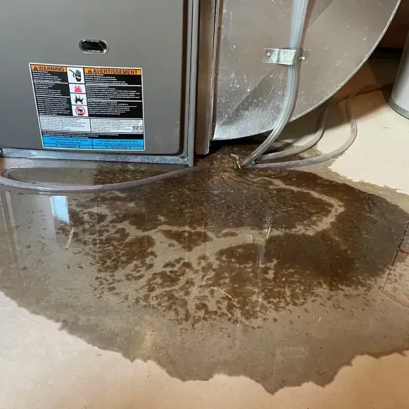 Appliance Leak Cleanup in Glenmont, MD